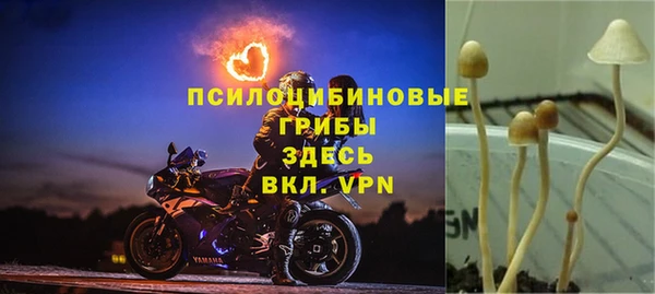 альфа пвп Вяземский