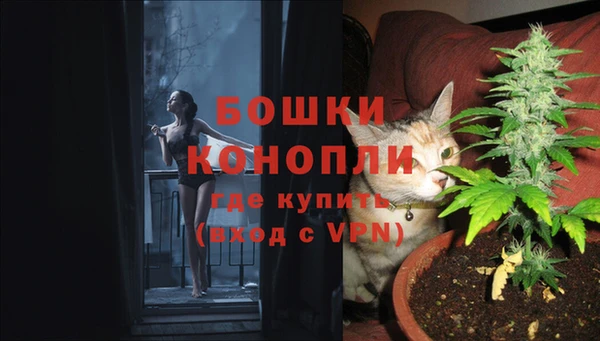 альфа пвп Вяземский