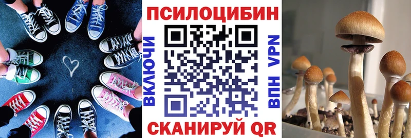 наркота  Улан-Удэ  Псилоцибиновые грибы ЛСД 